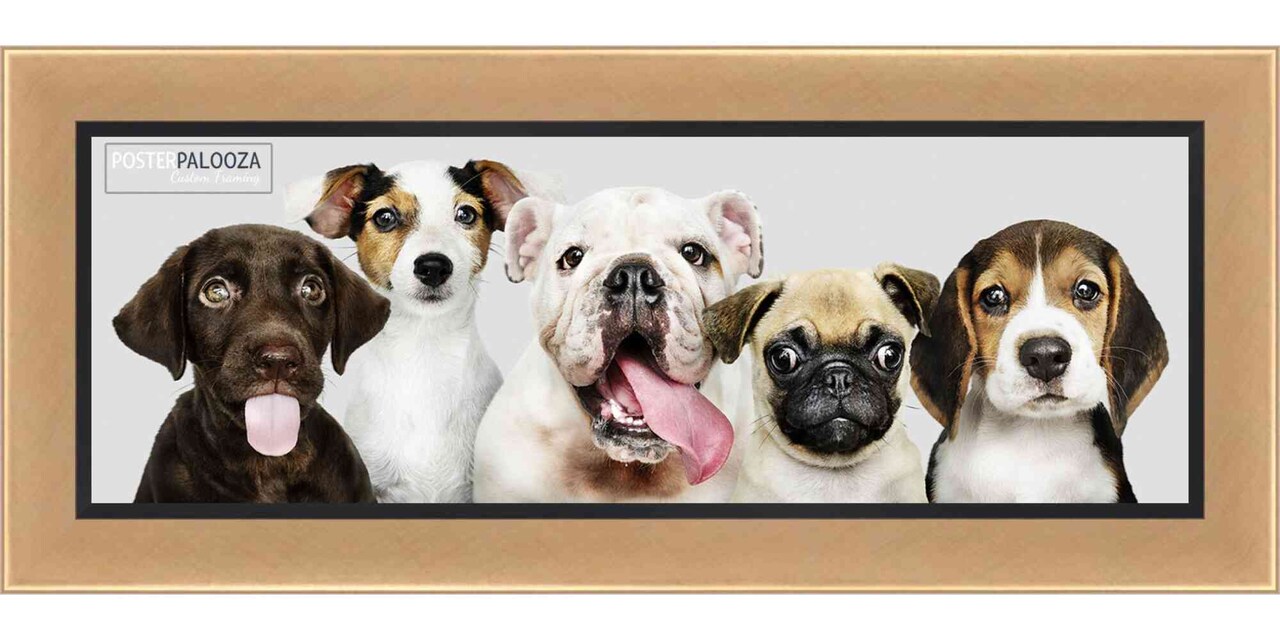 Panoramic Simple Gold Picture Frame - UV Acrylic, Foam Board Backing, Hanging Hardware